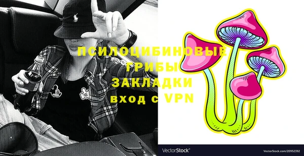 первитин Кодинск