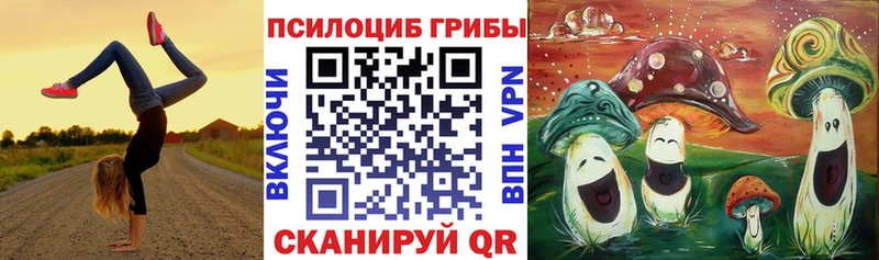 Купить где  Саяногорск  Галлюциногенные грибы мицелий 